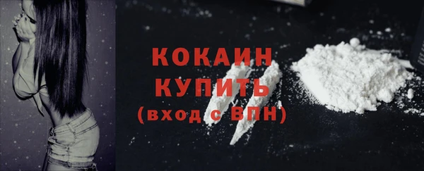 тгк Семилуки