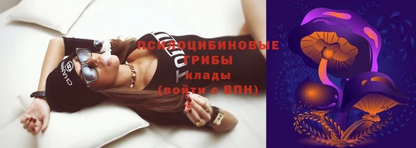 соль курить ск Белокуриха