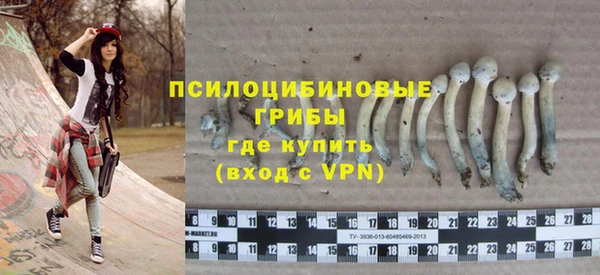 амф Богородск