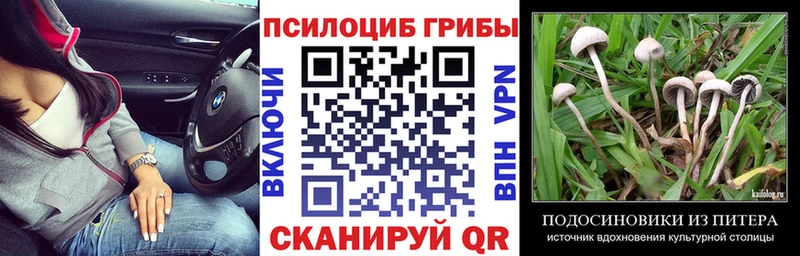 Псилоцибиновые грибы Cubensis  цены   Велиж 